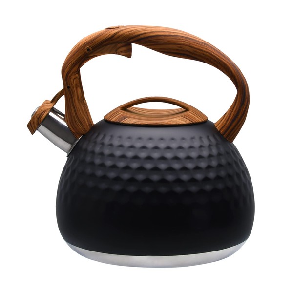 GGC Tea Kettle for Stove Top, Loud Whistling Kettle for