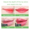 Lip Balm Set Aloe Vera Lipstick 3PCS Magic Temperature Colour