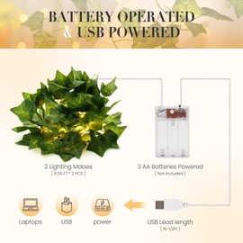 KASZOO 2 Pack 6.56 Ft Vine with Fairy Lights, 80LEDS Battery/USB Operated, Vine String Lights, Ivy Garlands with Fairy Lights for Bedroom Party Wall Room Hanging Decor