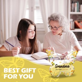 5-Inch Butterfly Acrylic Plaque,perfect Acrylic Plaque as Grandma Gifts,Grandma Birthday Gifts,Gifts for Grandma,Grandma Mothers Day Gift (Yellow, Grandma)