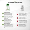 Vitamin B-2 Riboflavin 100Mg 100 Tablets – Vegetarian Multi Talent Metabolism – Support for a powerful
