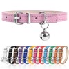 XXS Dog Collar for Teacup Adjustable Teacup Dog Collar for