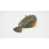 Deshen Du Pacific Halibut, Toy Fish, Very Realistic Rubber Model,