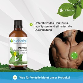 BIOHERBA 2 Portulak Tinktur - Portulaca oleracea - Hochwertige 100ml Tropfen - Reich an Omega-3, unterstützt Blutzuckerspiegel & Stoffwechsel, vegan, mit Chrom, PZN 17188048