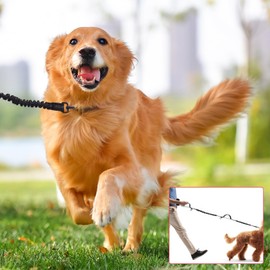 Dog Running Lead, Hands Free Dog Lead With Removable Waist Bag And Adjustable Waists Belt, Reflective Elastic Dogs Running Belt, Double Handle Leash, Suitable For All Dogs Breeds