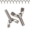 10pcs M6*20MM Butterfly Wing Bolts Stainless Steel Wing Nuts and