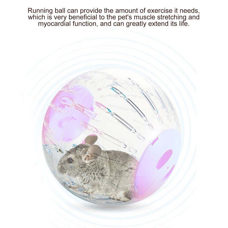 Pet Golden Hamsters Exercise Ball Toy Running Machine Transparent Jogging