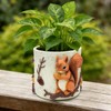 Unique Squirrel Plant Pots Cute Succulent Pots with Drainage Hole