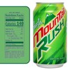 Shasta Mountain Rush | 12-Pack of 12oz Cans | Citrus