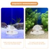 Ipetboom Aquarium Snail Trap Transparent Snail Catcher Tool for Aquariums
