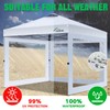 Acepic Clear Canopy Sidewalls for 10x10 Pop Up Tent, Transparent
