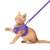FEimaX Dog Harness with Lead for Small Medium Dogs Cats