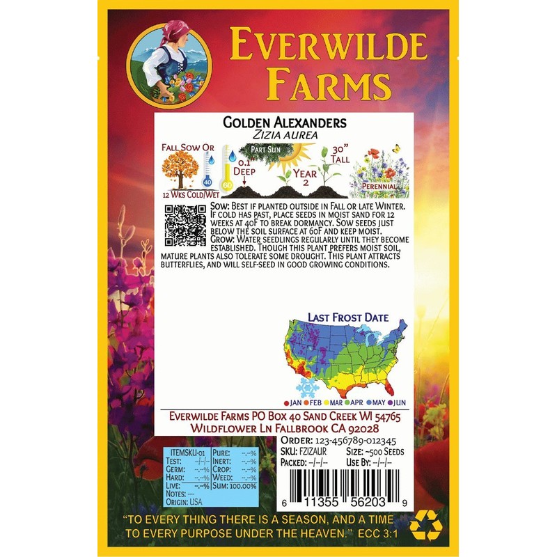 Everwilde Farms - 1 Oz Golden Alexanders Native Wildflower Seeds