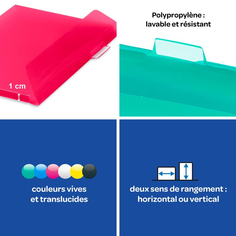 VIQUEL - Filing Box A4 Filled with 5 Removable PROPYGLASS