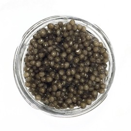 Caviar Star French Osetra | Caviar House & Prunier Osciètre Héritage Reserve | Premuim Black Caviar Russian Sturgeon Roe | Iconic and Rare Golden Brown Eggs Responsibly Sourced from Dordogne France (1 Ounce (28 Grams))