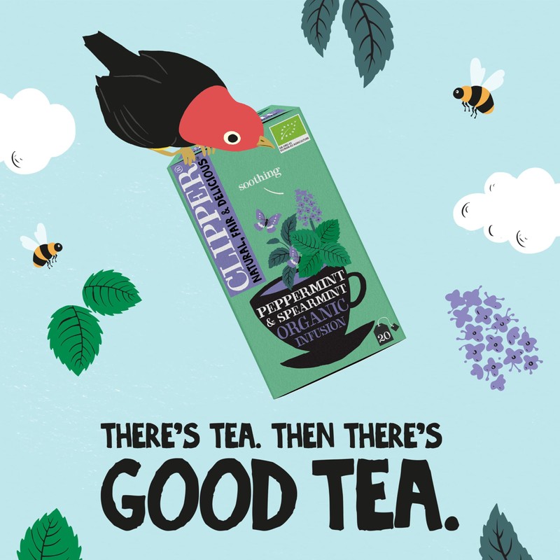 Clipper Organic Peppermint & Spearmint Infusions Fruit Teabags / 80