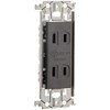 Panasonic WTL13523HK Double Outlet with Embedded Door (with Metal Frame)