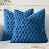 MIULEE Set of 2 Faux Fur Decorative Throw Pillow Covers