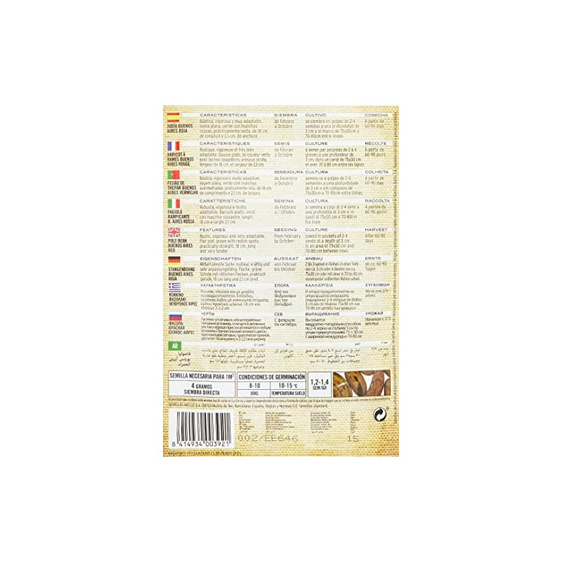 Organic Seeds - Red Trellis Beans Buenos Aires (20-50 Seeds