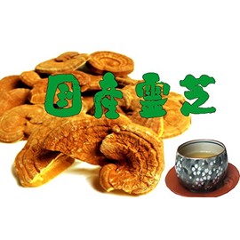 国産アウトレットカット霊芝500g