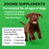 Zoomie Supplements Canine Hip & Joint Soft Chews 60ct