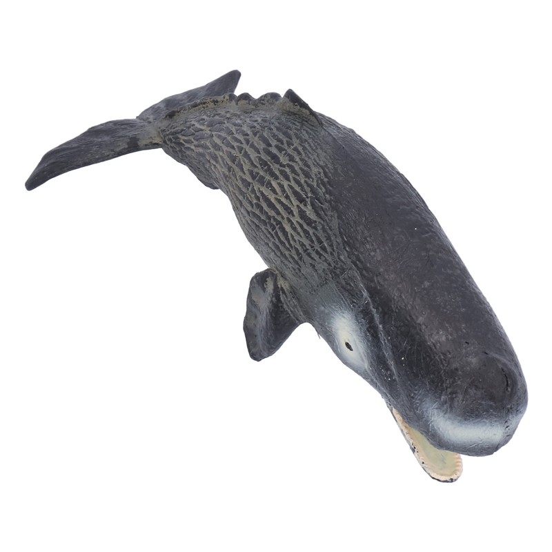 Realistic Sperm Whale Replica Simulated Marine Animal Model Educational Collector