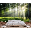 Wmjurel Sunshine in The Woods Mural, Large Jungle Mural, Suitable