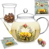 Teabloom Stovetop & Microwave Safe Glass Teapot with Removable Loose