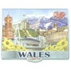 Welsh Fridge Magnet Wales Souvenir Gift Cymru Collage Montage Scenes Landmarks