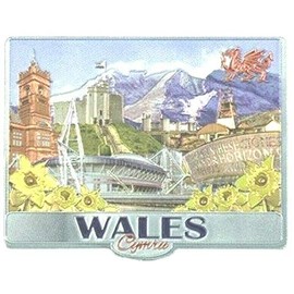 Welsh Fridge Magnet Wales Souvenir Gift Cymru Collage Montage Scenes Landmarks