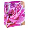 TSI 84315 gift bags Roses, Pack of 12, size: large