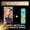 L'Oreal Paris Preference Hair Dye, Long Lasting, Luminous Permanent Hair