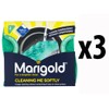 3 x Cleaning Me Softly Scourer