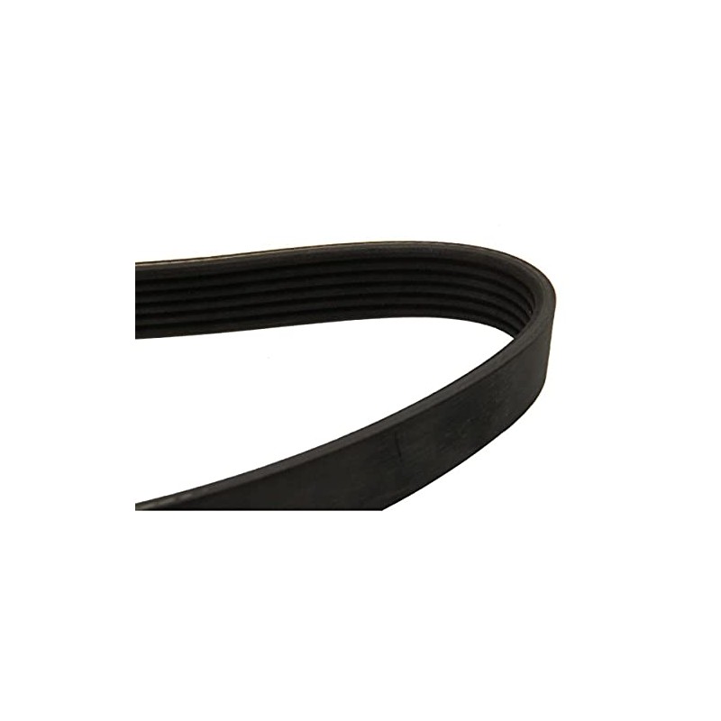 Dayco 6PK875 Poly Rib Belt