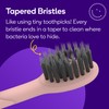 BURST Genuine Replacement Heads for Original Sonic Electric Toothbrush (Rose