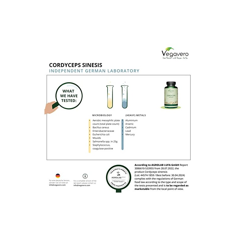 Cordyceps Sinensis Vegavero® | 650 mg (10:1) CS-4 Extract 40%