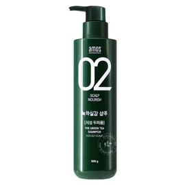 Amos 1+1 Amos Green Tea Real Oily Shampoo 500g / 1+1 아모스 녹차실감 지성샴푸 500g