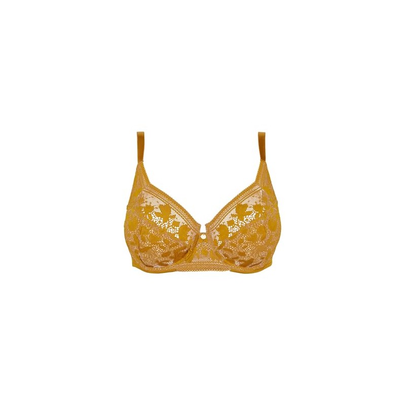 Sans Complexe Women's Suzie Full Coverage Bra, Bruyer Brown