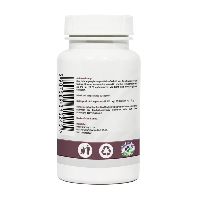 Ginkgo Biloba 500 mg 60 Capsules Memory and Concentration