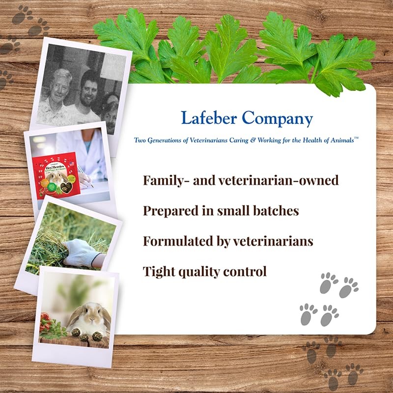 LAFEBER'S Hey!Berries for Rabbits 5 oz (Bell Pepper and Cilantro)
