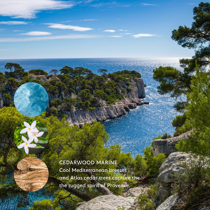 Mistral Cedarwood Marine Body Lotion for Men | Moisture-Rich Body