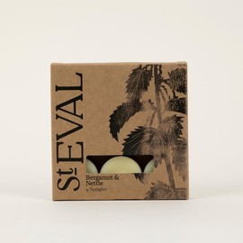 St Eval Bergamot & Nettle Scented Tealights | Zesty Citrus & Woody Fragrance | Pack of 9 | Long-Lasting Burn | Made in Cornwall