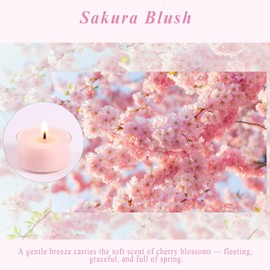 Scented Tea Lights Candles, Sakura Blush, 8 Pack – Soft Pink Scented Tealight Candles– 100% Palm Wax – 6 Hour Burn Time Aromatherapy Tea Light Votive Candle for Spring Decor, Bath, Romance