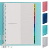 Maruman F584-98 Loose Leaf Binder, A4, Session, 30 Holes, Clear