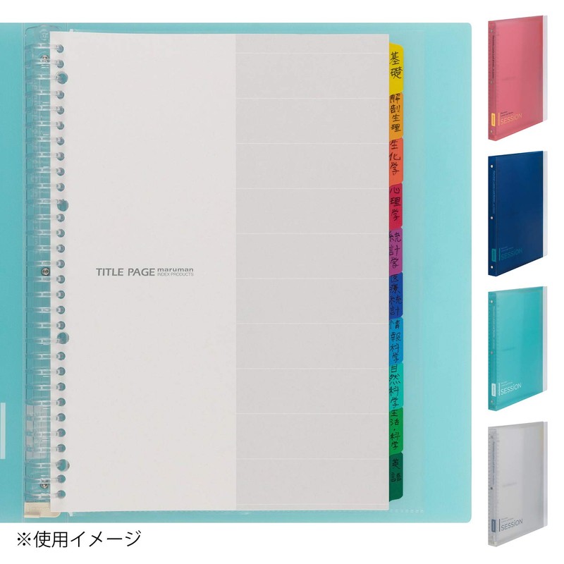 Maruman F584-98 Loose Leaf Binder, A4, Session, 30 Holes, Clear