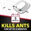 Raid Ant Killer Baits, Child Resistant Bug Killer for Indoor