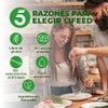 LIFEED5 Colágeno Hidrolizado en Polvo con Probióticos 50 Billones| 405g