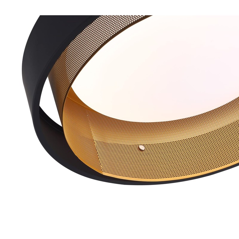 Aiwen LED Round Flush Mount Light, Contemporary Circular Ceiling Lighting