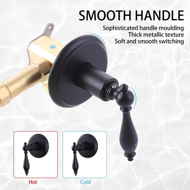 LIWEIKE 2 Handle Shower Faucet Set, Matte Black Two Handles