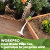 WORKPRO Crack Weeder, 12.5" Stainless Steel Crevice Weeding Tool with